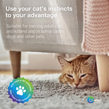 Load image into Gallery viewer, EdenProducts Anti Scratch Cat Deterrent Tape - Pack of 10 Sheets