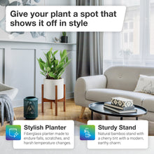 Load image into Gallery viewer, EdenHomes Mid Century Modern 10 Inch Flower Plant Stand with Pot Set