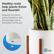 Load image into Gallery viewer, EdenHomes Mid Century Modern 10 Inch Flower Plant Stand with Pot Set